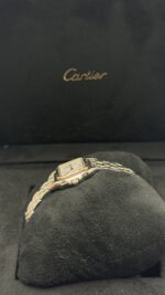 ⁦بانثير (Panthère de Cartier)⁩ - الصورة ⁦2⁩