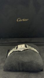 ⁦بانثير (Panthère de Cartier)⁩ - الصورة ⁦5⁩