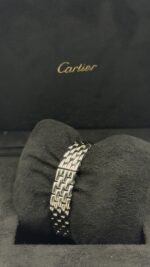 ⁦بانثير (Panthère de Cartier)⁩ - الصورة ⁦6⁩