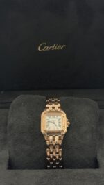 ⁦بانثير (Panthère de Cartier)⁩ - الصورة ⁦7⁩