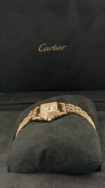 ⁦بانثير (Panthère de Cartier)⁩ - الصورة ⁦8⁩
